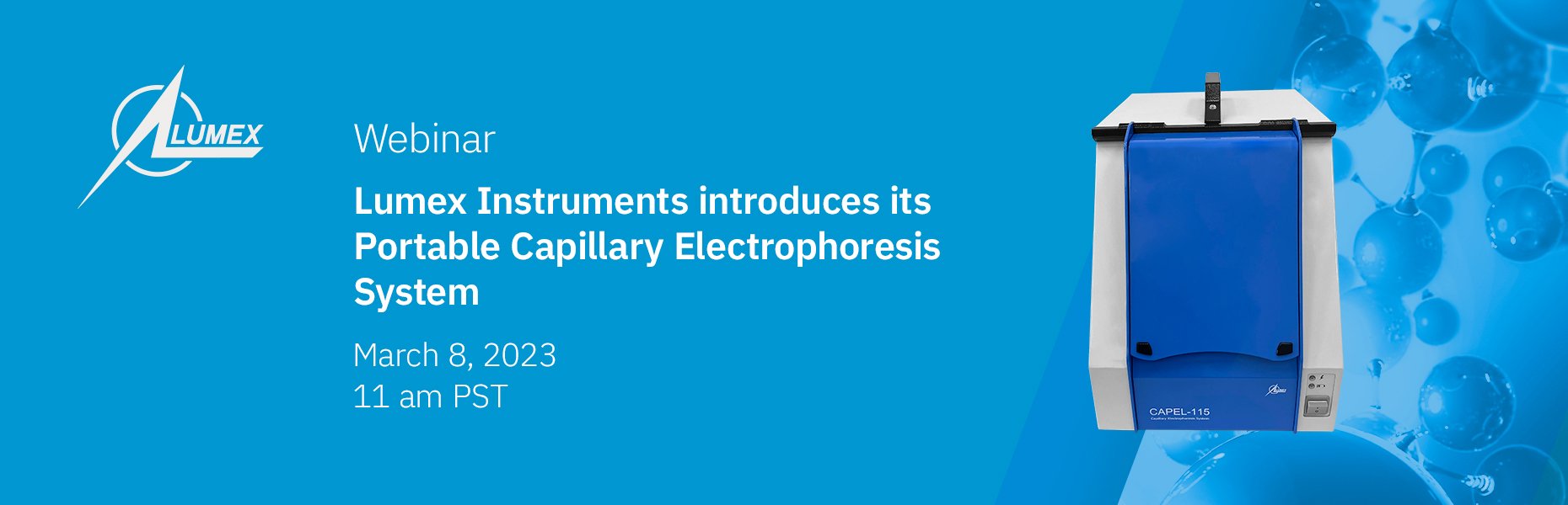 Portable Capillary Electrophoresis System