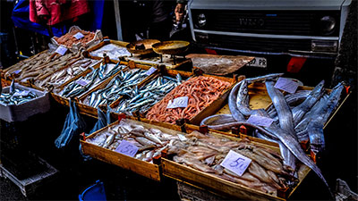 Mercúrio em frutos do mar, peixes e atum