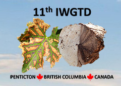 International Workshop on Grapevine Trunk Diseases