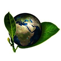 Live Webinar Mercury analysis in complex matrices: challenges and solutions